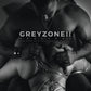 E-Book ‘‘GREYZONE II''